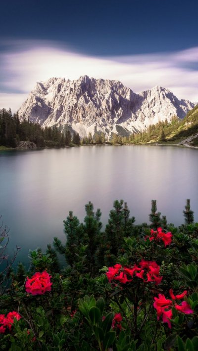 Альпийские Луга Швейцария