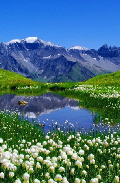 Красивая природа