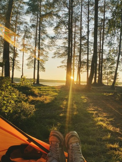 Поход в лес