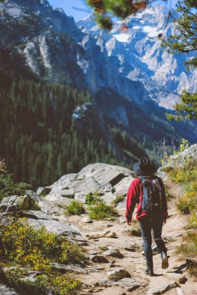 Сайт Форест Тревел