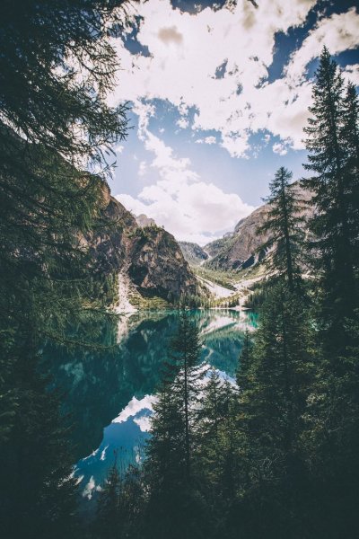 Природа вертикальные