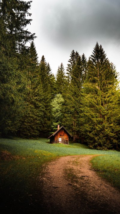 Домик в лесу