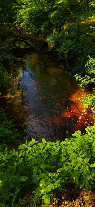 Душа нетронутой природы