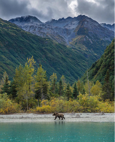 Национальный парк Денали Аляска