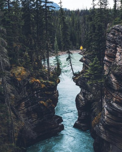 Путешествие в лес