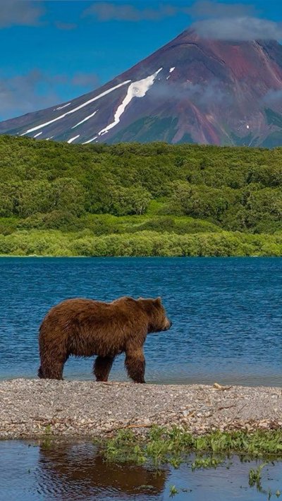 Путешествия в дикую природу