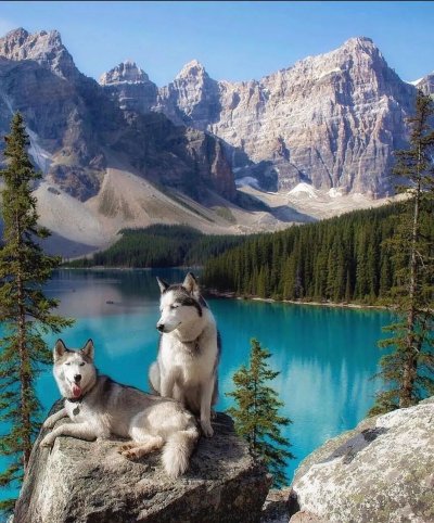 Озеро Морейн Альберта Канада