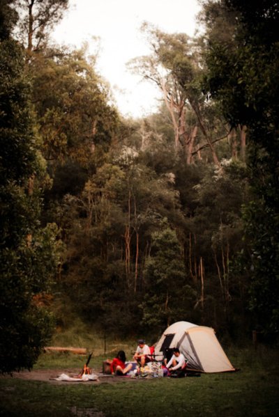 Кемпинг в тропиках Эстетика