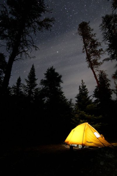 Camping Night