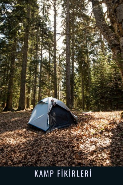 Палаточный кемпинг