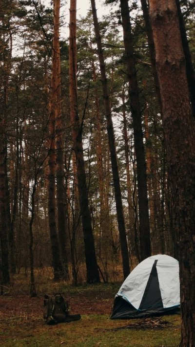 Поход Эстетика