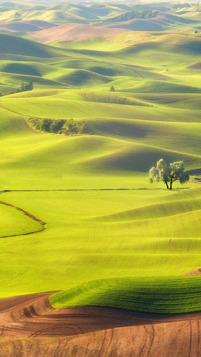 «Зеленые холмы»
