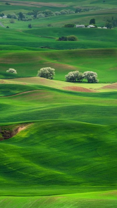 Зеленый пейзаж