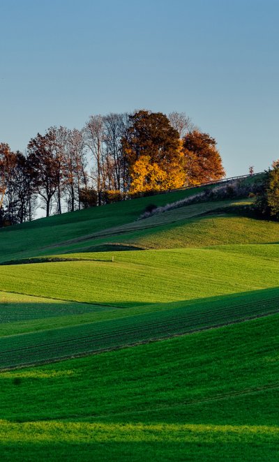 Природа холмы