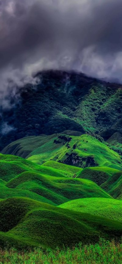 Зеленые горы