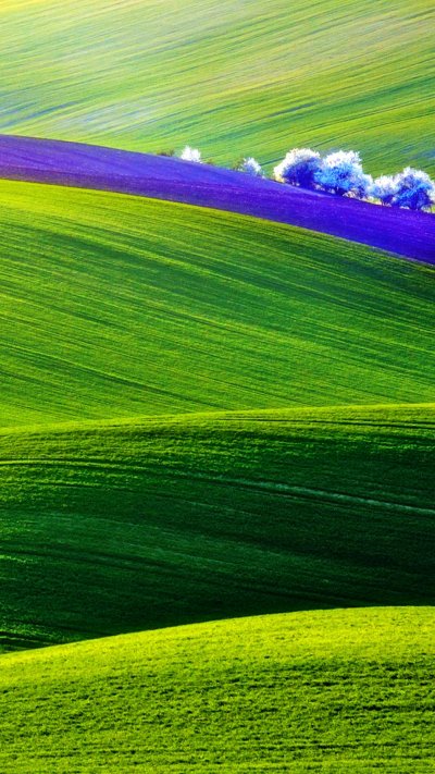 Зеленая природа