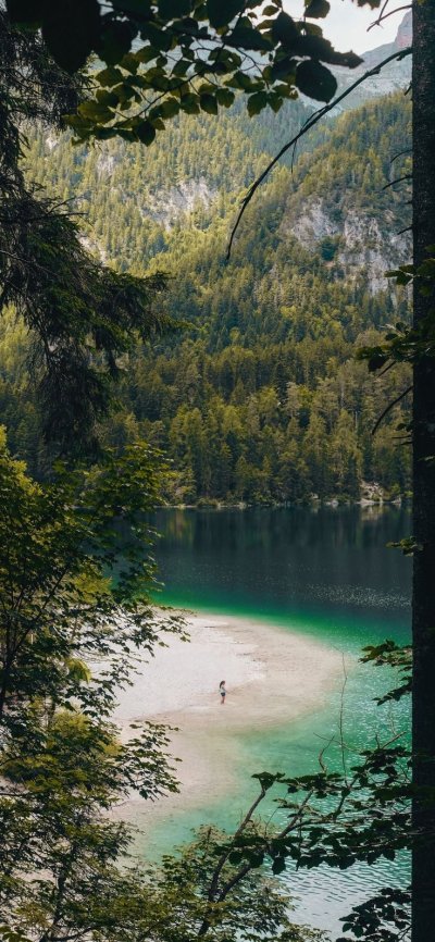 Озеро в лесу