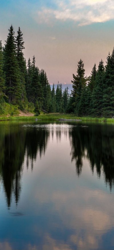 Озеро в лесу