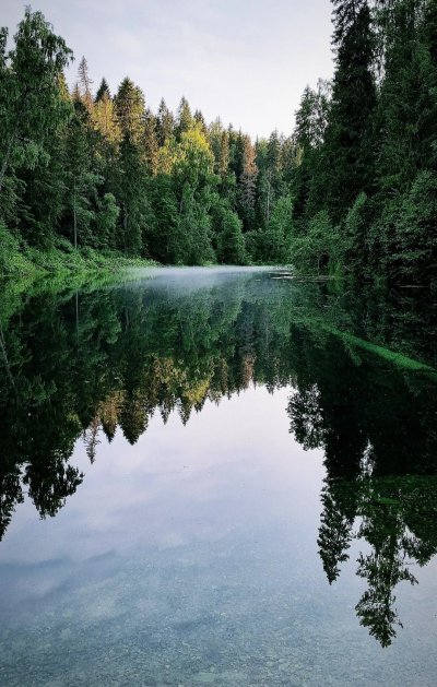 Радоновое озеро Сестрорецк