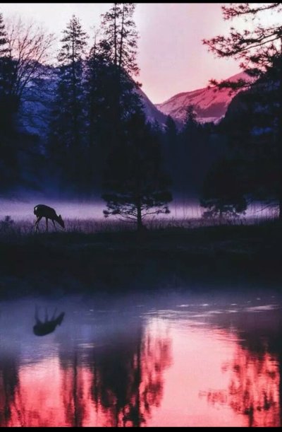 Горы в тумане