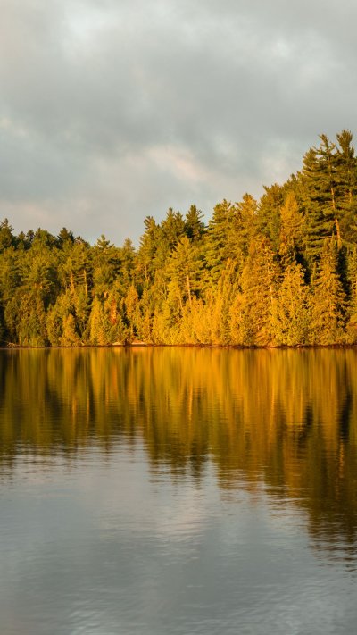Дерево озеро небо
