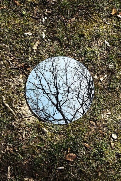 Зеркало в лесу