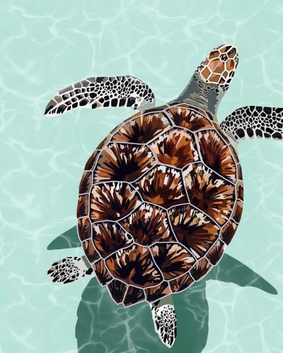 Черепаха обои