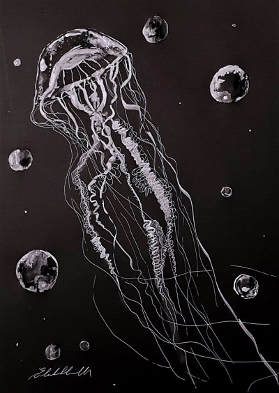 Черная медуза