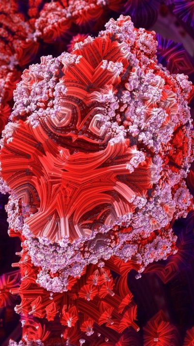 Необычные кораллы