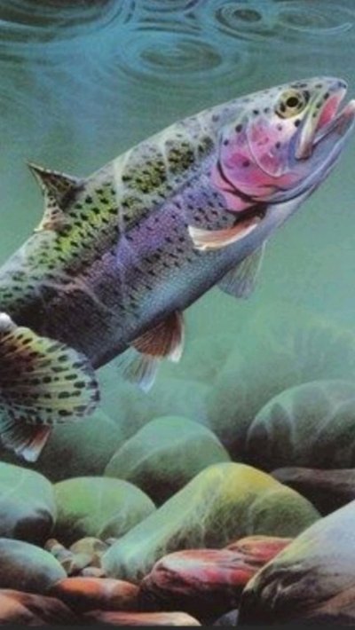 Байкальские рыбы