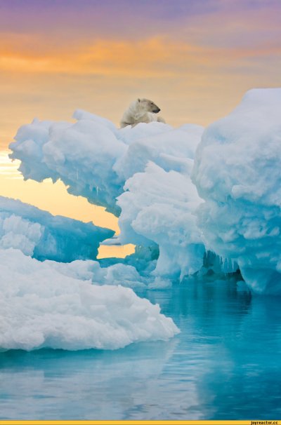 Арктика Северный полюс