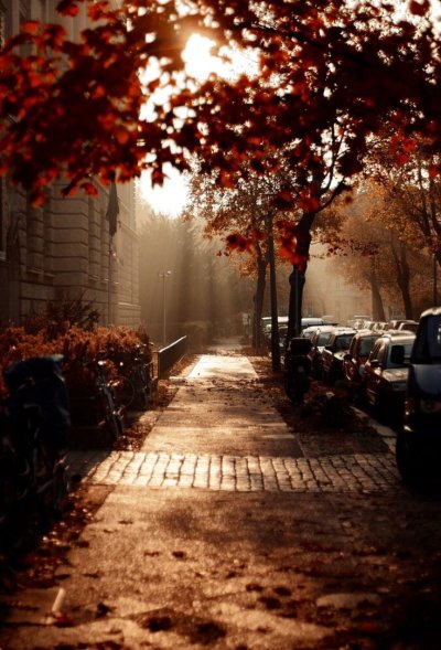 Осень в городе