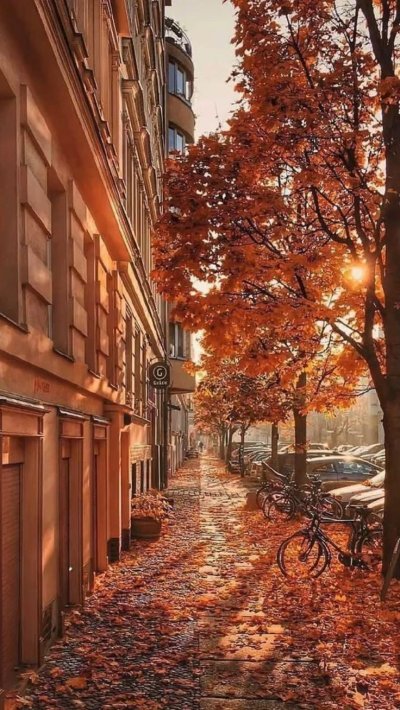 Осень в городе