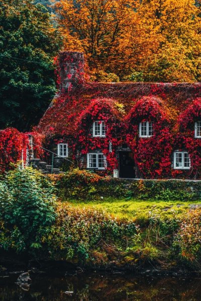 Уютный осенний домик