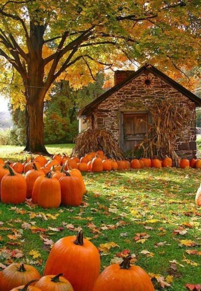 Дача. Осень