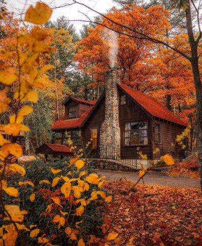 Домик в лесу