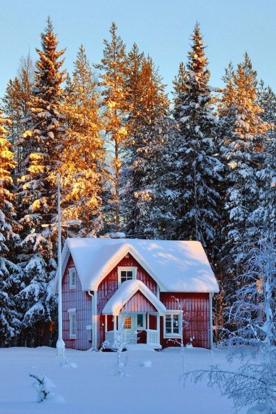 Домик в зимнем лесу