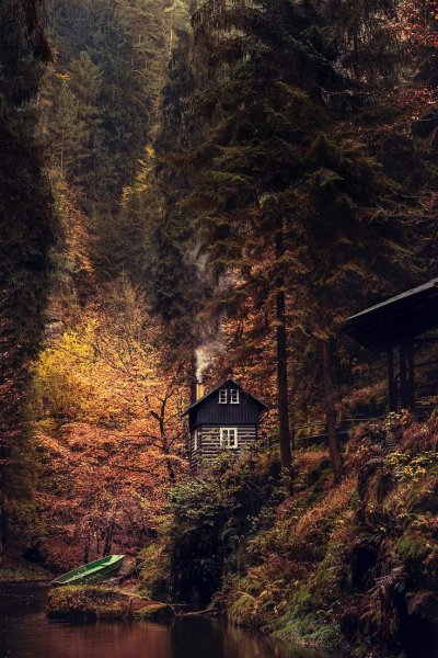 Домик в лесу