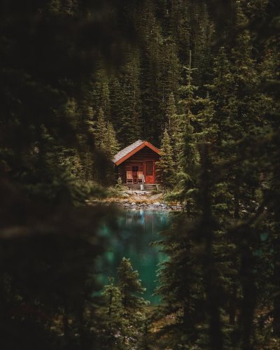 Хижина в лесу у озера