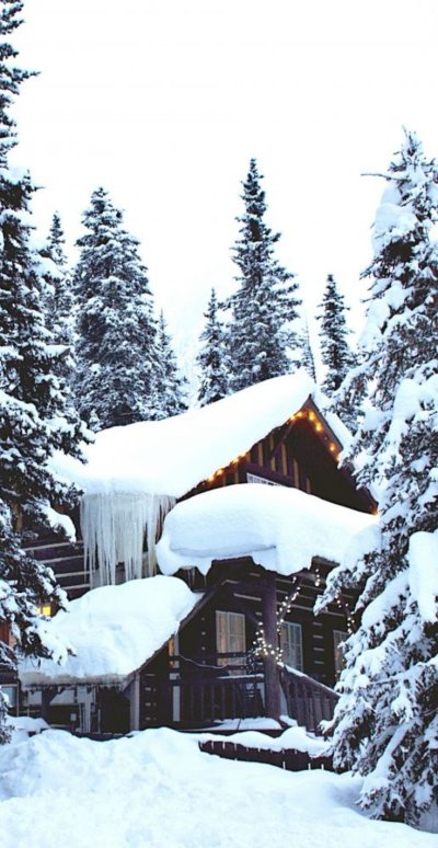 Дом в заснеженном лесу