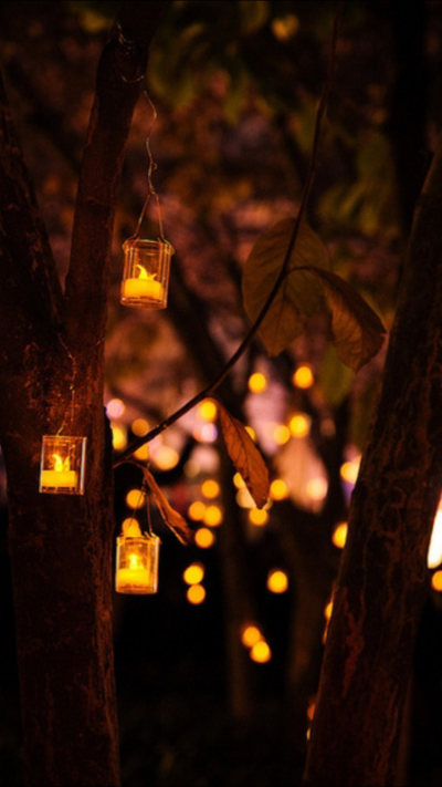 Фонарики в лесу