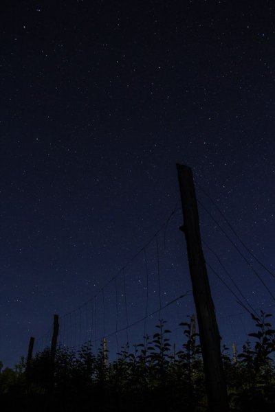 Ночное небо обычное