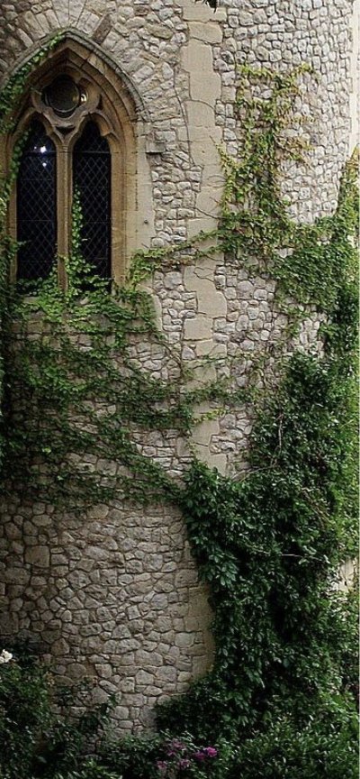 Плющ на стене замка